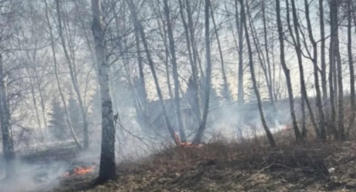 Adamów: Nieodpowiedzialne ognisko mogło skończyć się pożarem. 65-latek ukarany mandatem