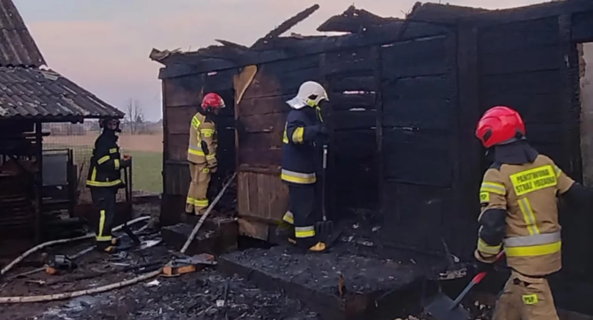 Pożar drewnianego budynku w gminie Stanin! Strażacy w akcji - mamy nagranie