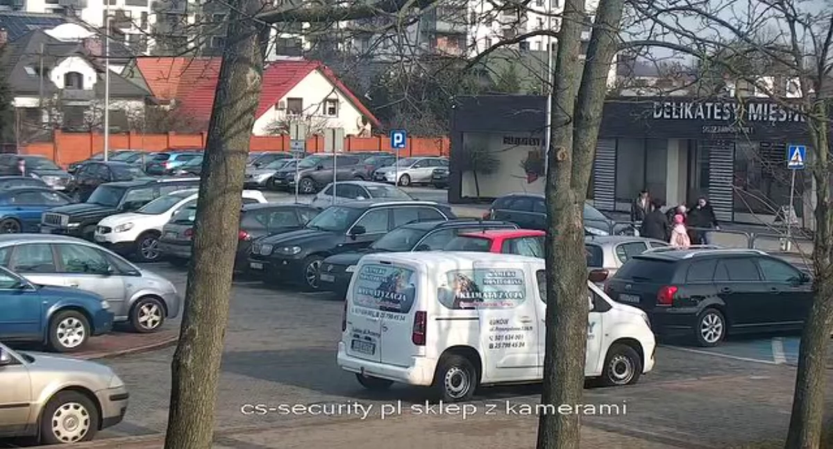 Piesza z wózkiem potrącona na przejściu przy Zakładach Mięsnych! Kierowca dostał surowy mandat - mamy nagranie!