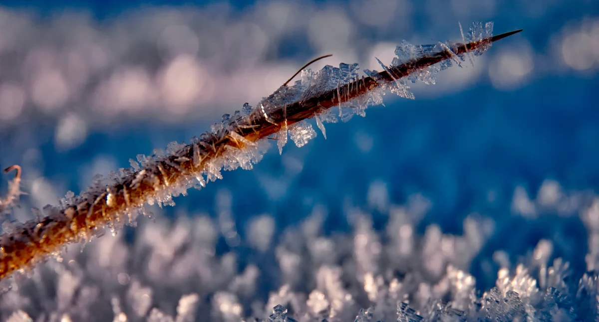 Mróz wraca! Temperatura spadnie nawet do -8°C – sprawdź, gdzie będzie najzimniej!