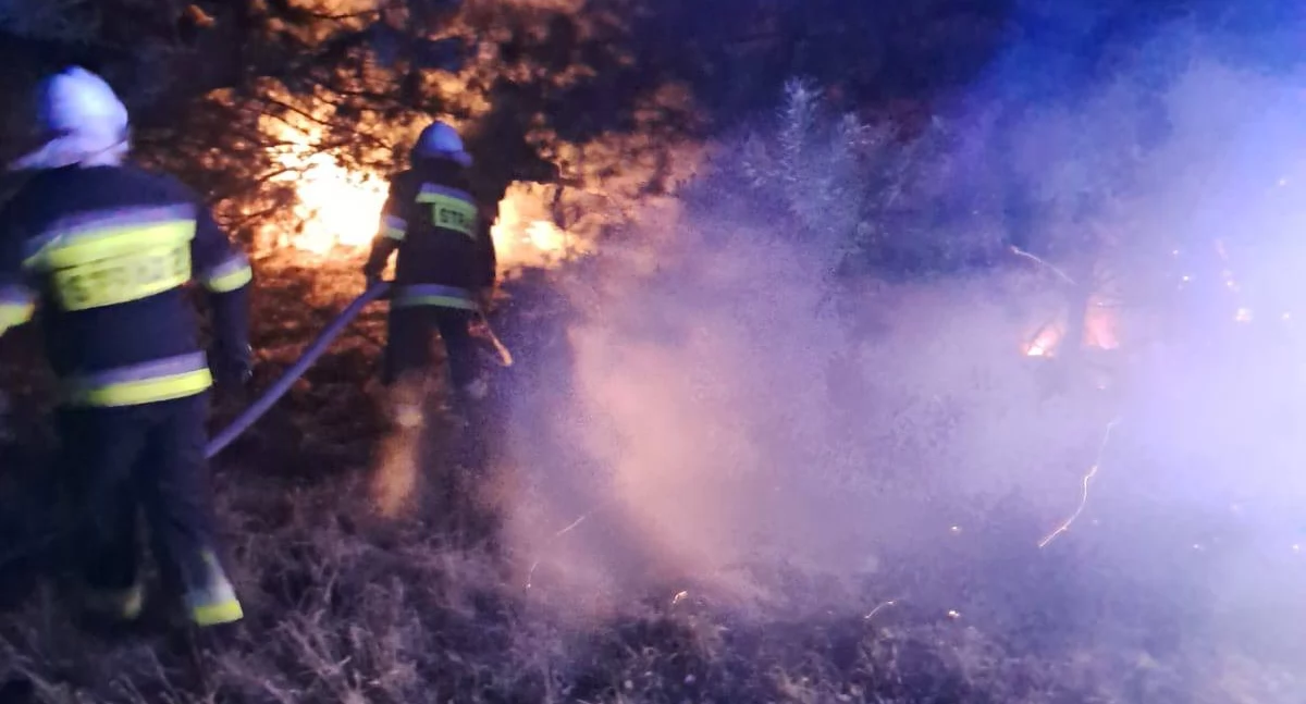 Kolejny nocny pożar w regionie! Strażacy walczyli z ogniem przy drodze Wola Okrzejska – Krzywda
