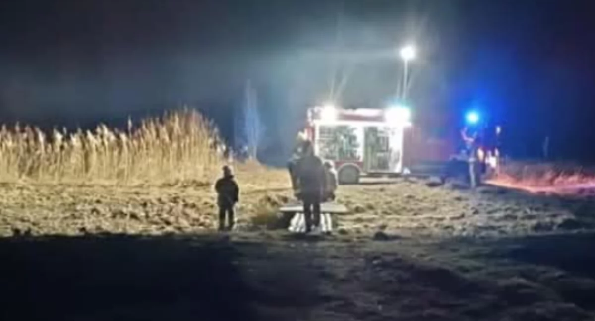 DRAMAT NA DRODZE POD ŁUKOWM MARTWY ŁOŚ, SPRAWCY BRAK!