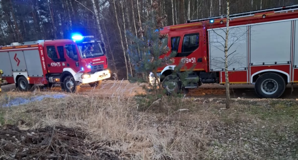 Płoną łąki w powiecie łukowskim! Strażacy w akcji
