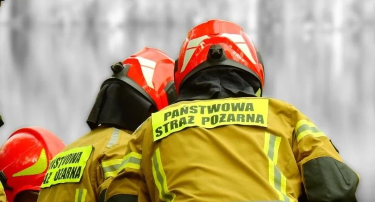 Konar drzewa mógł runąć na budynek – interweniowali strażacy z JRG Łuków