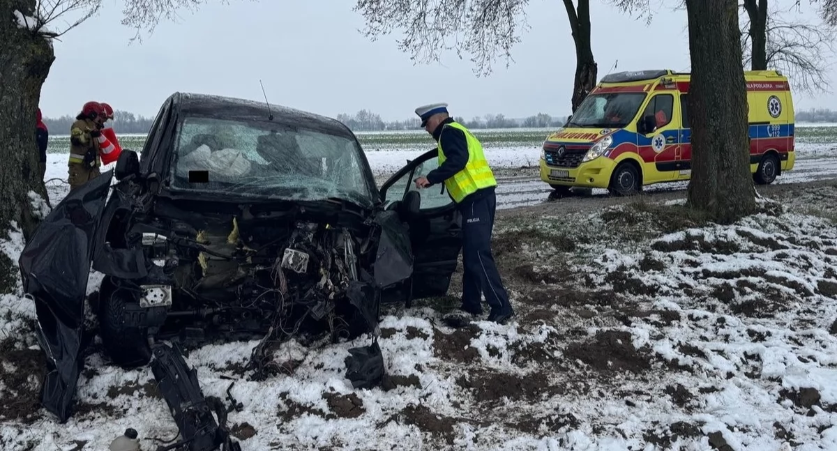 Citroen roztrzaskał się o drzewo! 20-latka cudem przeżyła poranny koszmar na drodze