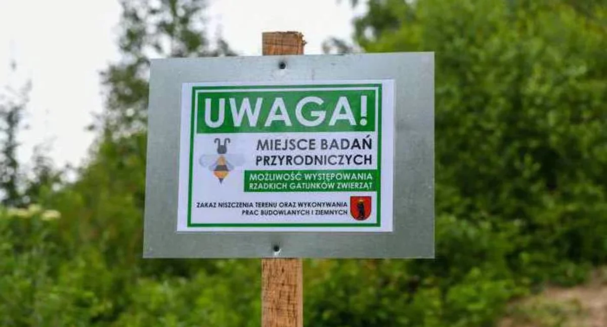 Raj dla dzikich pszczół na byłej strzelnicy? Pasjonaci z Dzikich Zapylaczy odkrywają skarb przyrodniczy w Łukowie!