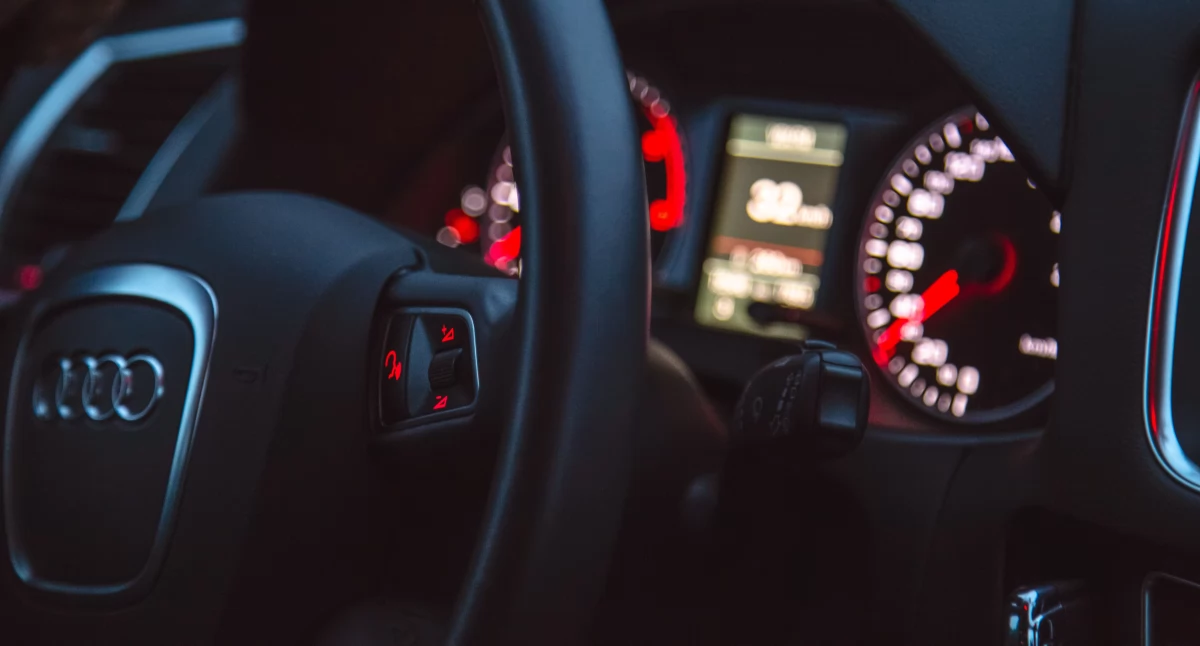 Łoś i sarna kontra Audi! Dwa groźne wypadki w jeden dzień na drogach powiatu łukowskiego
