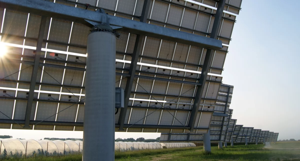 Pierwsze działania już ruszyły! Pod Stoczkiem Łukowskim może powstać gigantyczna farma fotowoltaiczna