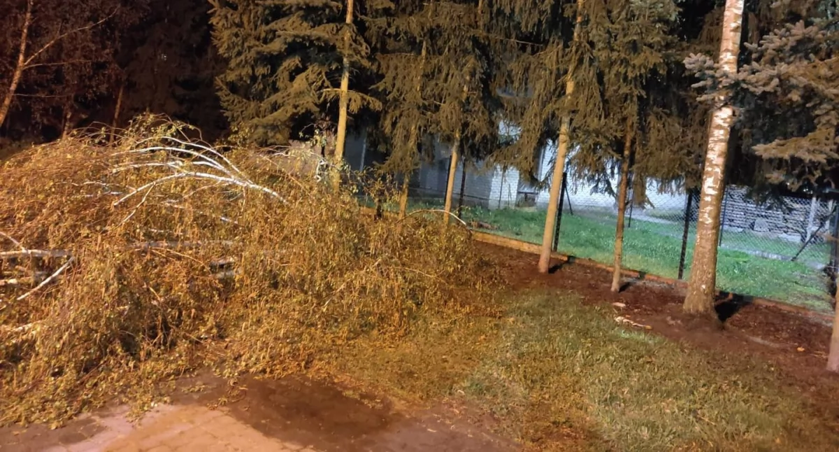 Burza zniszczyła auto przy kościele w Wojcieszkowie! Strażacy z powiatu łukowskiego walczyli z żywiołem całą noc