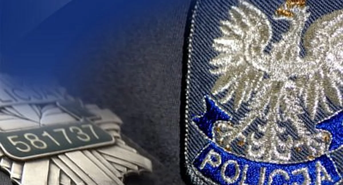 Kolizja w Trzebieszowie! Peugeot zderzył się z Audi – w akcji 23-latek i 76-letni kierowca