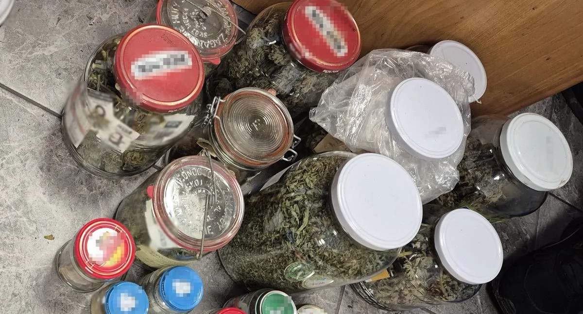 Marihuana w lodówce i zamrażarce! 38-latek z Łukowa trafi za kraty – sąd nie miał wątpliwości