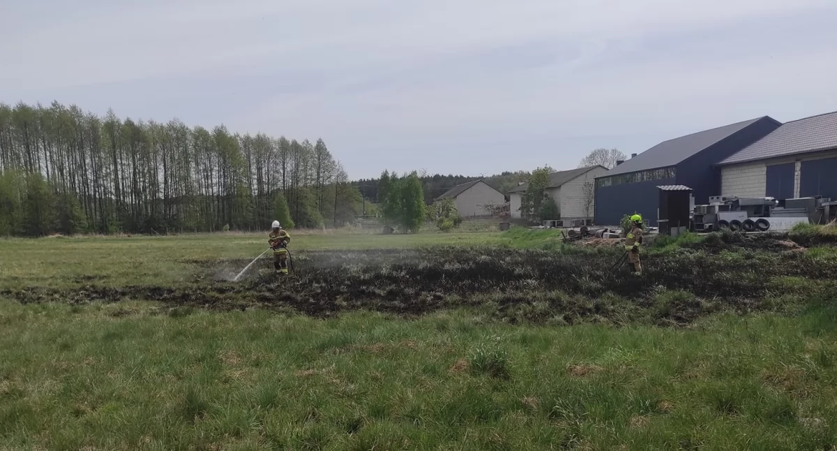 Pożar suchych traw w Konorzatce – szybka akcja strażaków zapobiegła tragedii