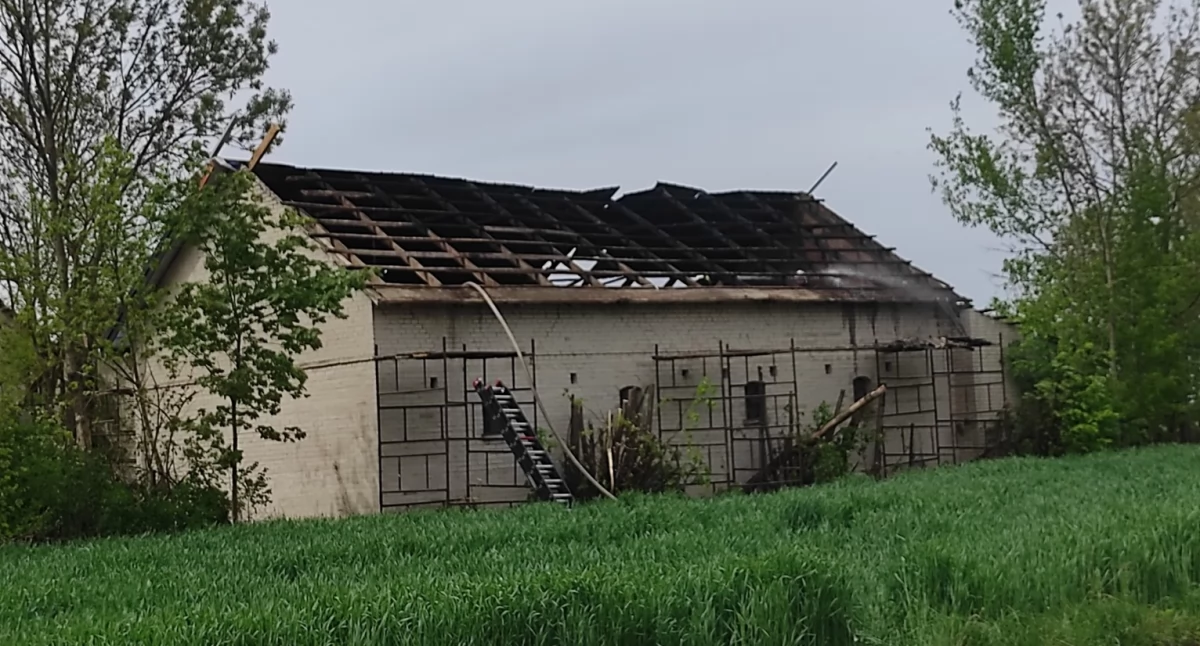 Pożar budynku gospodarczego w Starej Gąsce. Spłonął dach i słoma, strażacy w aparatach tlenowych