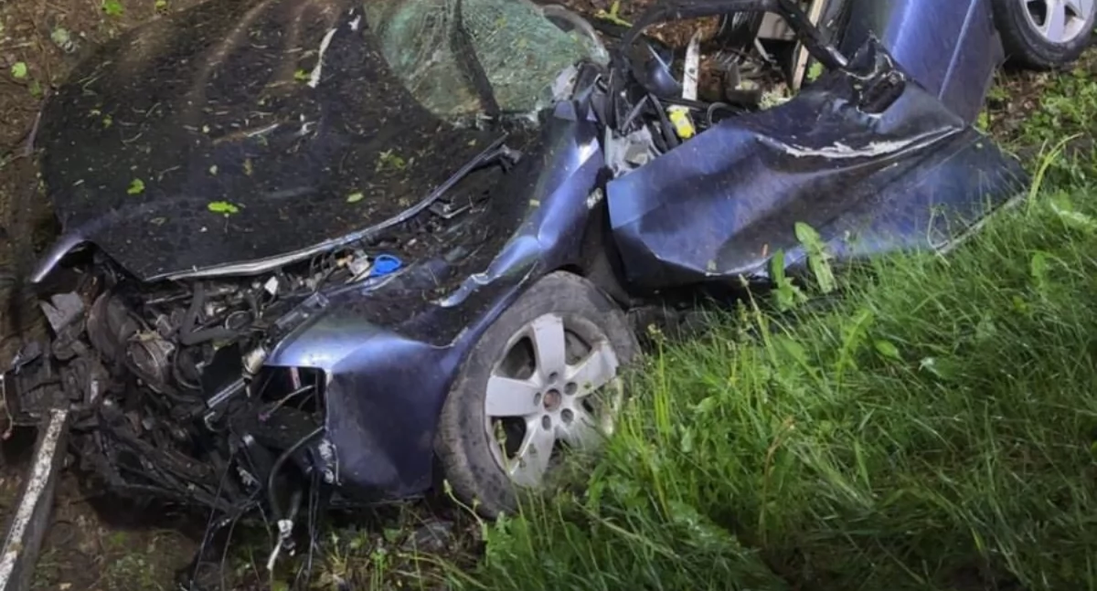 Śmiertelny wypadek na DK63 pod Łukowem. 28-latek uderzył w drzewo (NASZ NEWS)