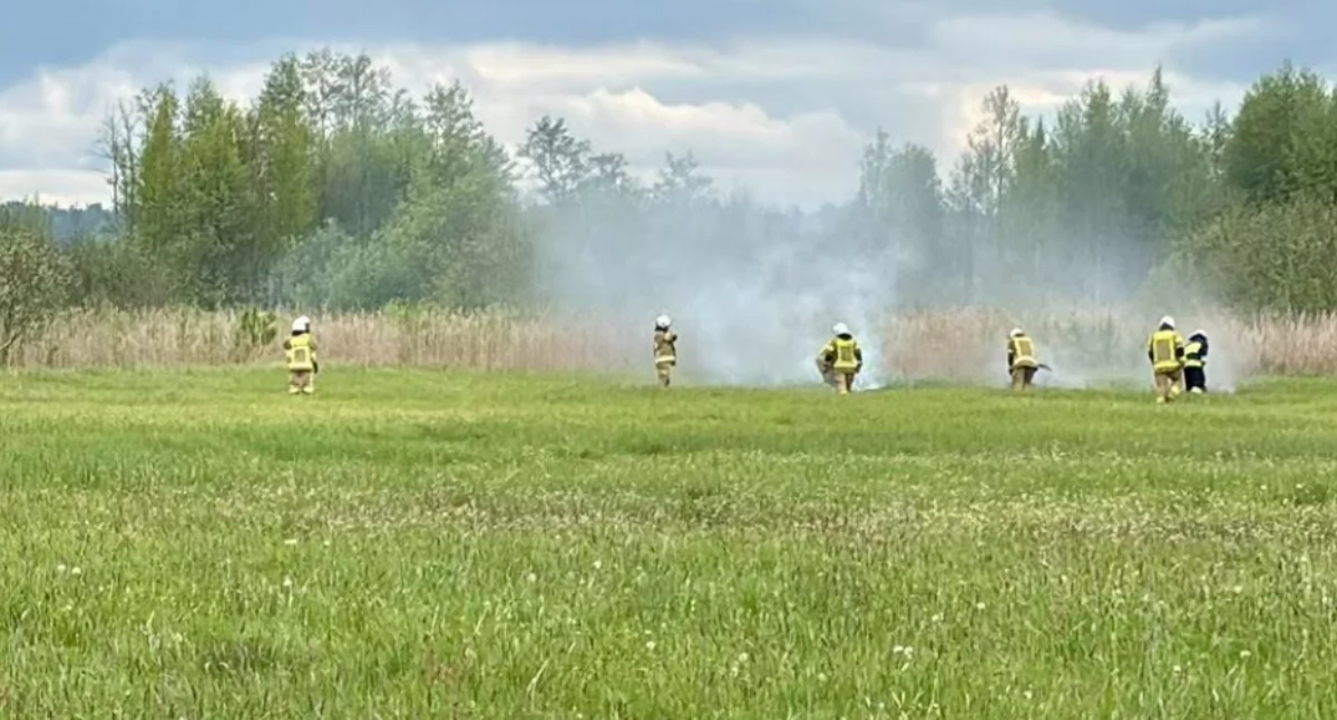 Pożar nieużytków między Staninem a Tuchowiczem – szybka interwencja służb
