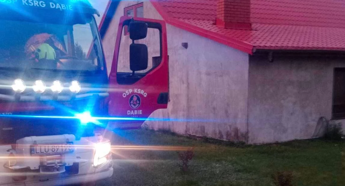 Pożar sadzy w kominie w Dąbiu – służby interweniowały, ale zagrożenia nie było