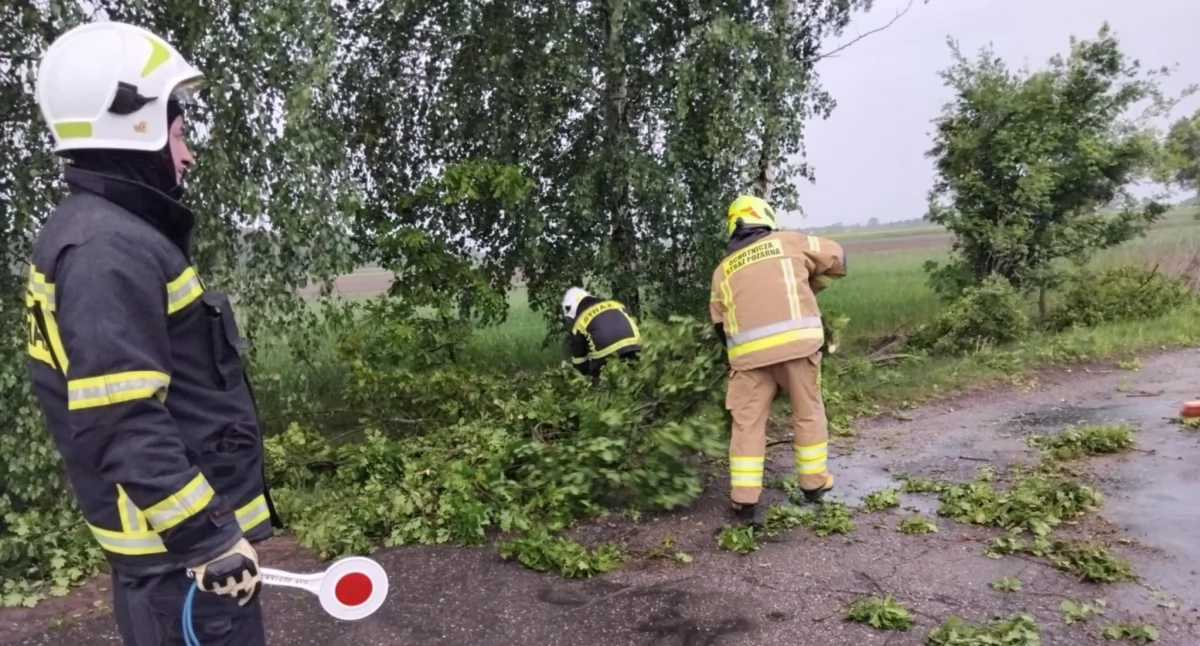 Ulewa nad powiatem łukowskim. Strażacy usuwali powalone drzewa i konary z dróg