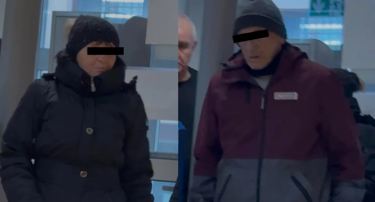 Psy bez budy w mrozie, koty w cierpieniu – ruszył proces o znęcanie się nad zwierzętami w Łukowie
