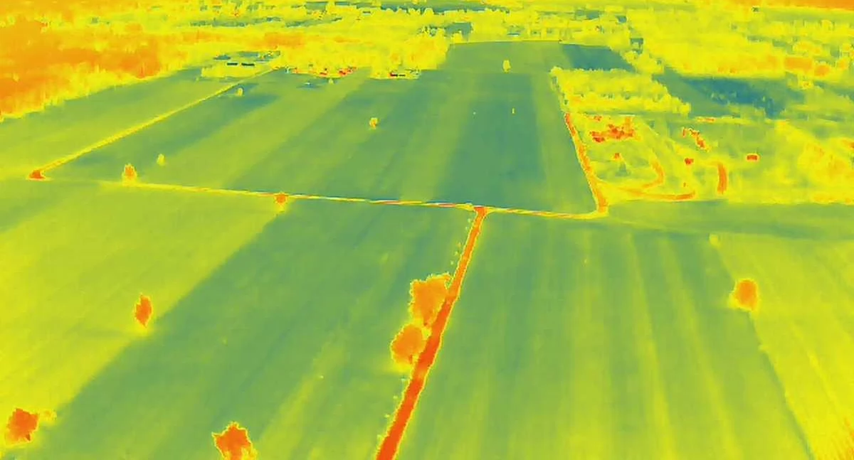 Zaginiony 23-latek odnaleziony pod Adamowem. Policyjny dron znów nie zawiódł