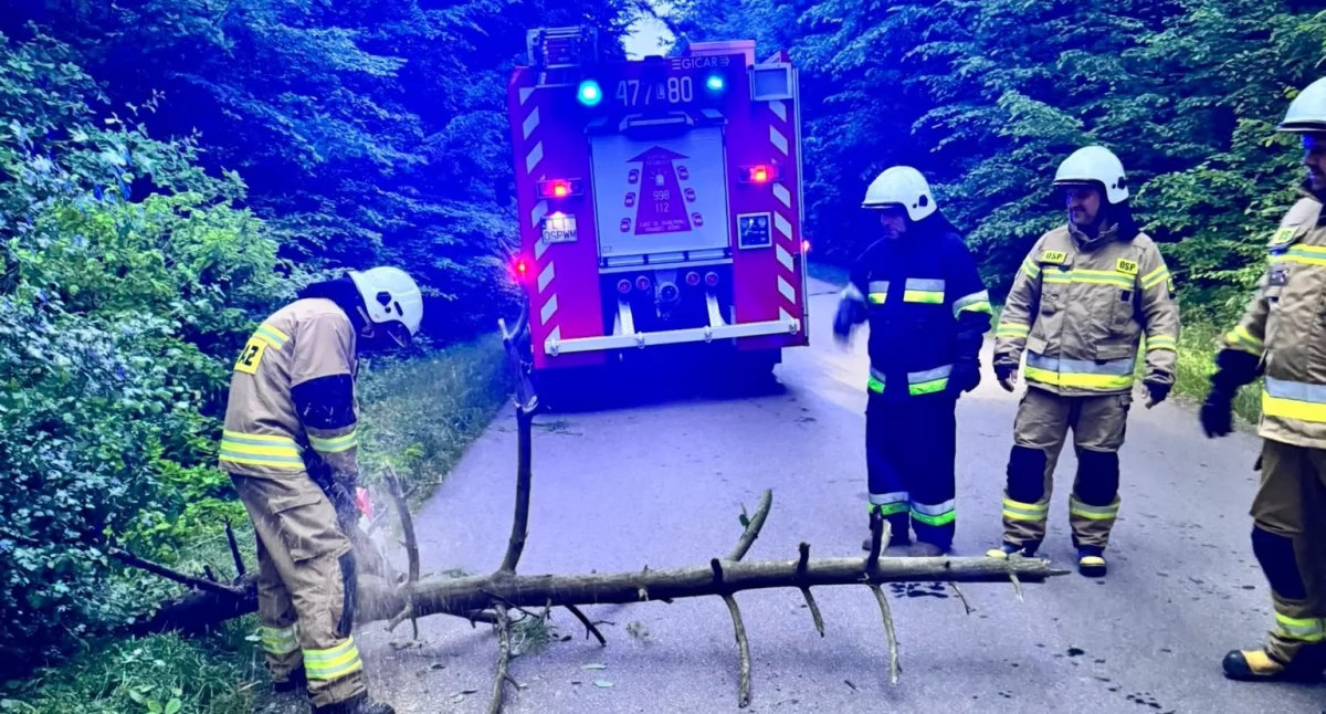 Niebezpieczna przeszkoda na trasie Wola Mysłowska–Ciechomin. Strażacy interweniowali wieczorem!