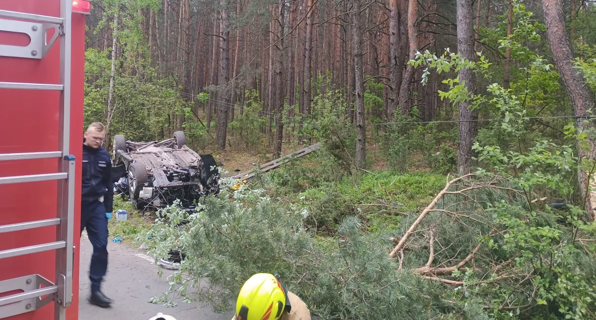 Zderzenie z łosiem i śmierć na miejscu. Tragiczny wypadek między Zabielem a Wólką Różańską