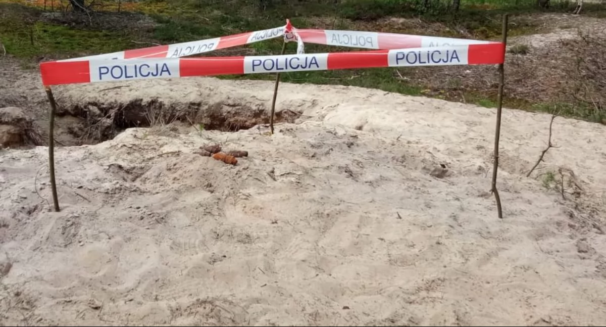 Niewybuchy w lesie! Mieszkaniec natrafił na groźne znalezisko z czasów wojny