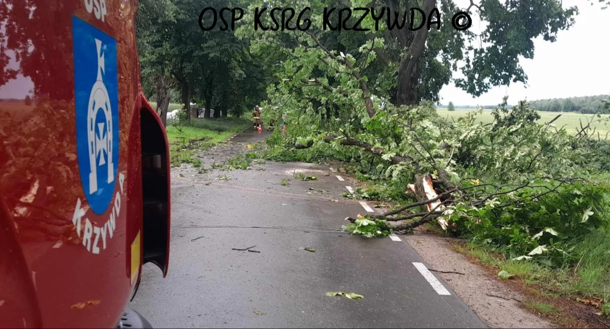 Silna burza nad regionem. Trzy miejscowości sparaliżowane. Strażacy interweniowali godzinami