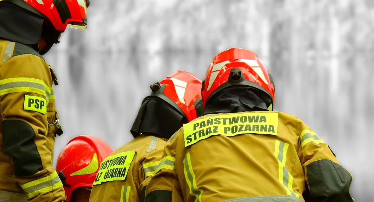 Alarm w gminie Wola Mysłowska! Strażacy ruszyli do pożaru lasu, prawda zaskoczyła