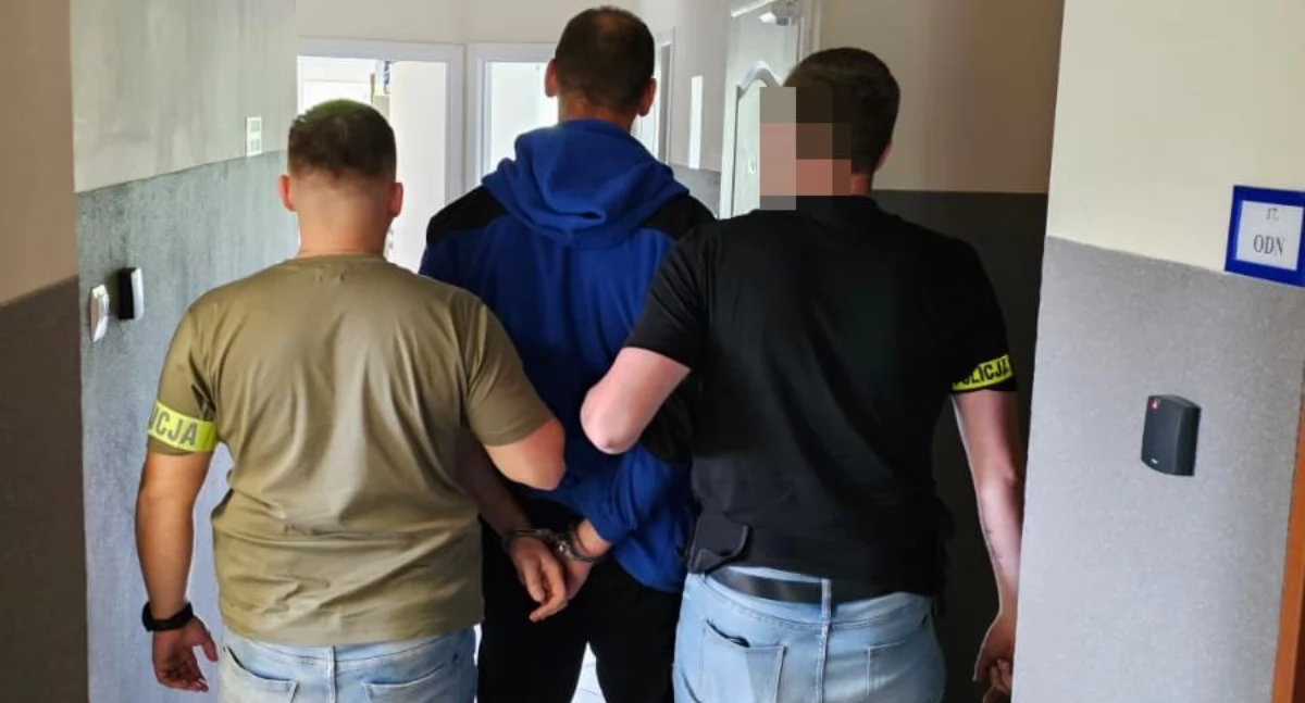 Psy myślały, że to smakołyk. W kiełbasie od sąsiada czekała na nie śmierć 