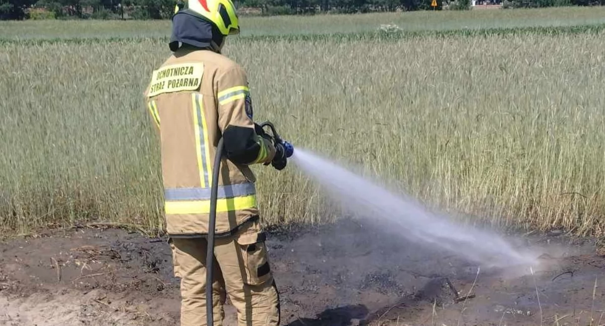 Gorące popołudnie w Hucie Dąbrowej: Strażacy z Podosia w walce z ogniem na polu zboża.