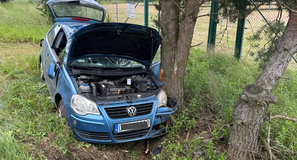 Poranny huk na drodze do Adamowa. Podróż kierowcy zakończyła się na drzewie.