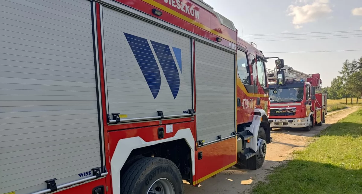 Silny wiatr zagroził mieszkańcom powiatu łukowskiego. Strażacy ruszyli z podnośnikiem