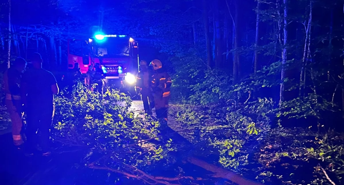 Nocna akcja strażaków w lesie. Poważne utrudnienia między Toczyskami a Soćkami