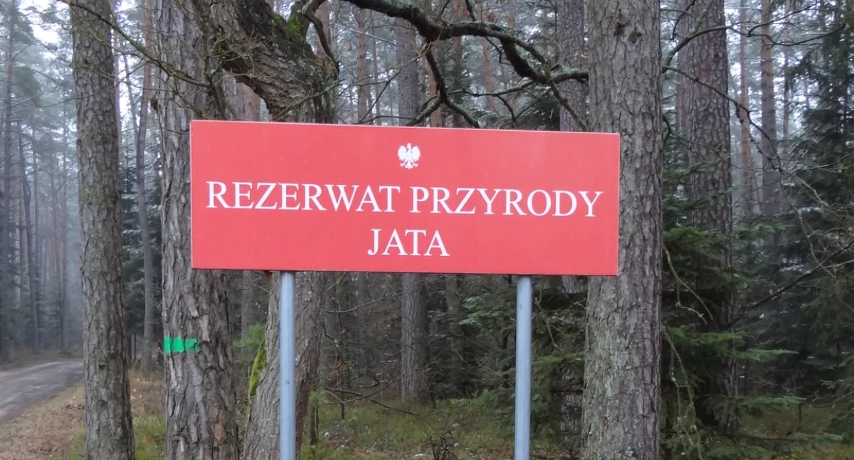 Rezerwat Jata rośnie w siłę – sąsiednie lasy dołączą do obszaru chronionego