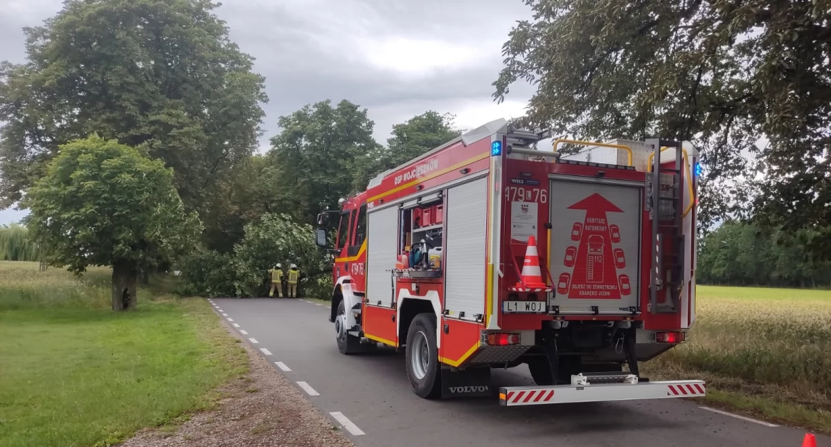 Powalone drzewo zablokowało drogę w gminie Wojcieszków. Interweniowali strażacy