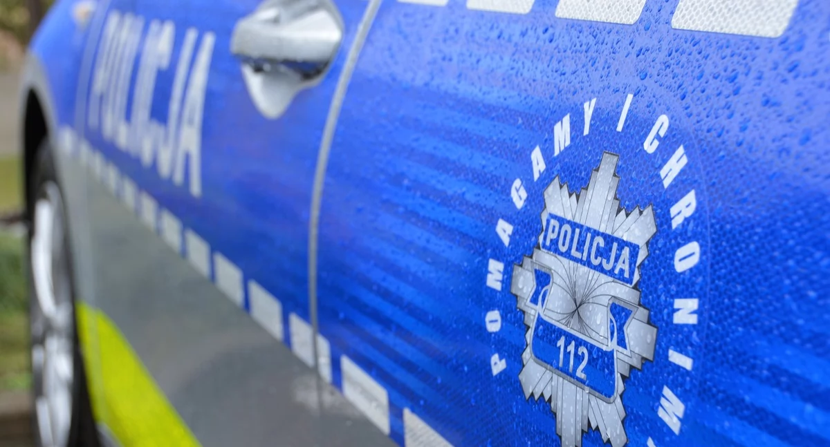  Radiowóz zderzył się z sarną w Sobisce. Uszkodzony pojazd trafił do naprawy (NASZ NEWS)
