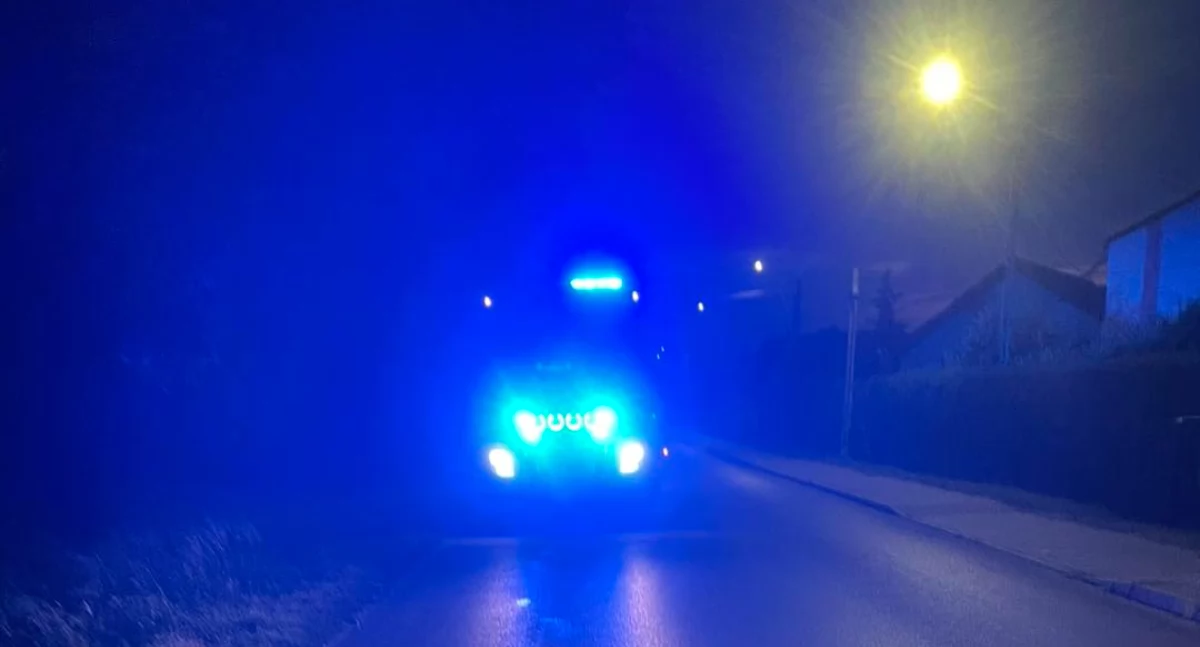 Niebezpieczna plama oleju na ul. Kleeberga w Wojcieszkowie. Interweniowały dwa zastępy straży i policja