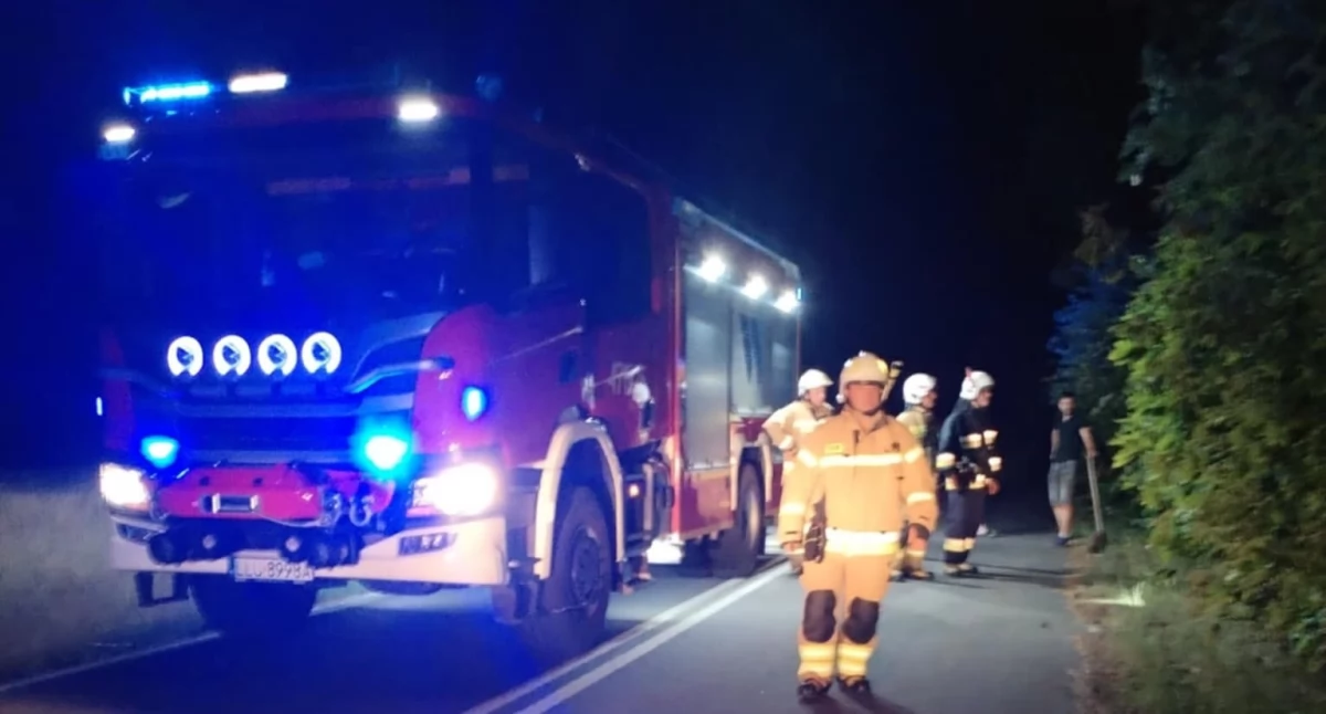Nocna akcja strażaków w Sarnowie. Paliła się ściółka leśna