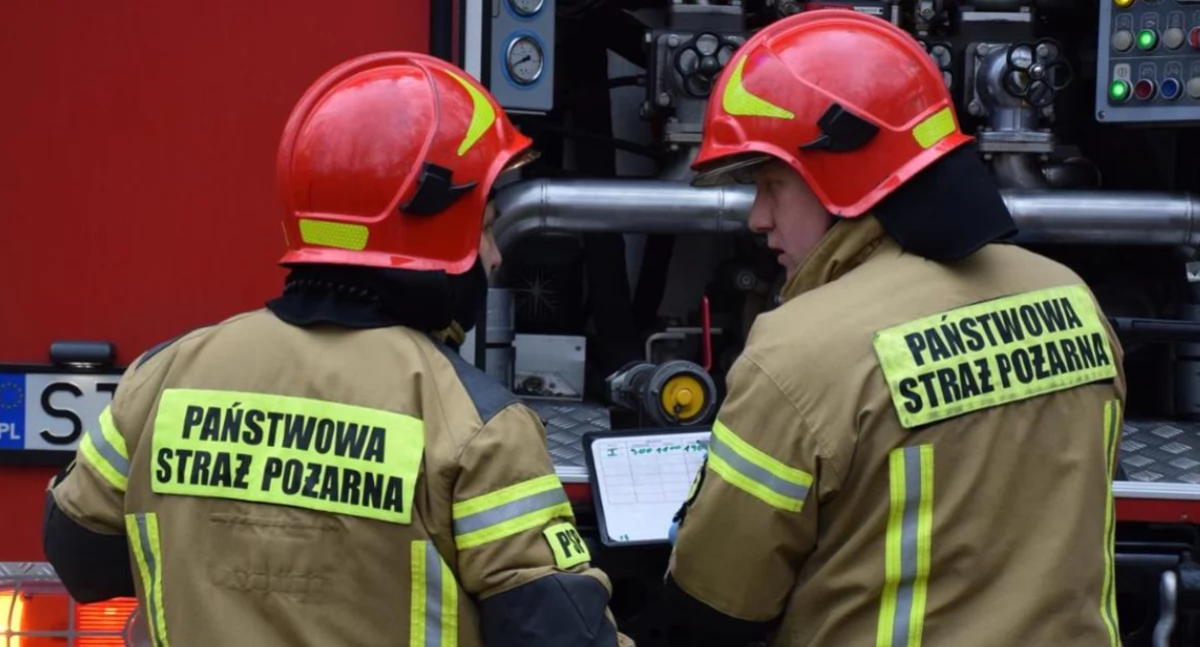 Niebezpieczne owady na placu zabaw w Stoczku Łukowskim. Interweniowali strażacy