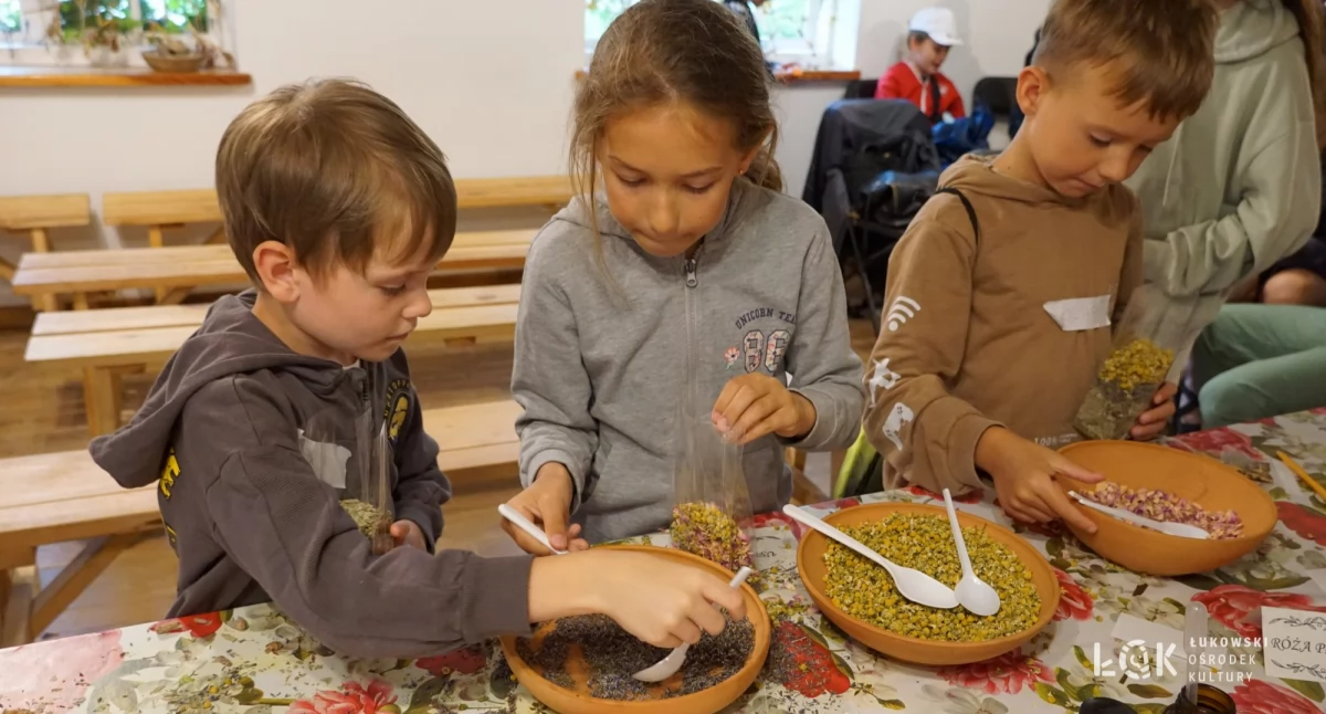 Dzieci z ŁOK poznawały tajemnice ziół w Korycinach! Wyjątkowa wycieczka edukacyjna na Podlasie [ZDJĘCIA]