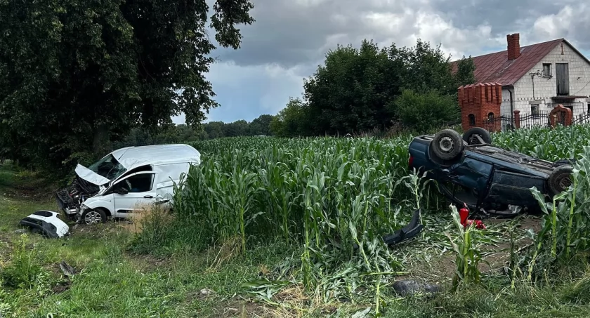 Osobówka dachowała w kukurydzy, druga roztrzaskana na drzewie. Mamy zdjęcia z poważnego wypadku w Wólce Ciechomskiej