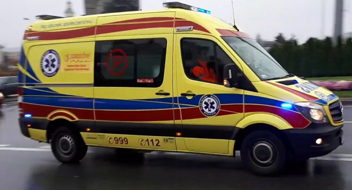 Dramatyczne chwile w Adamowie. Bocian uderzył w pędzącą karetkę!