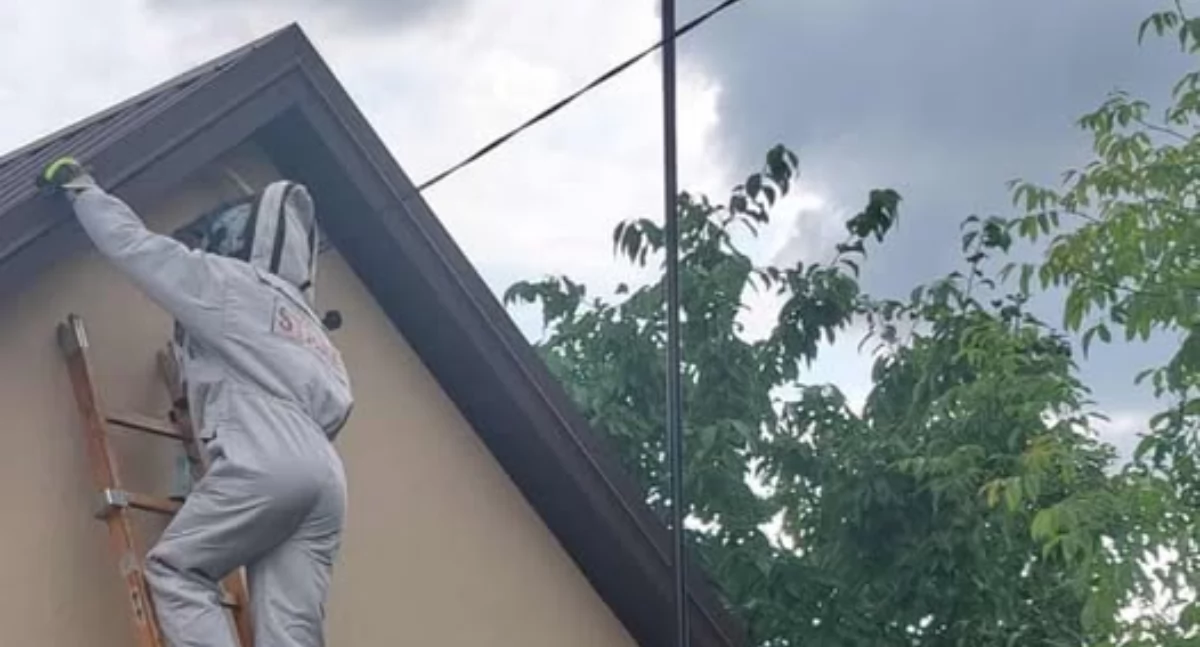 Niebezpieczne owady w Krynce. Interweniowała Ochotnicza Straż Pożarna