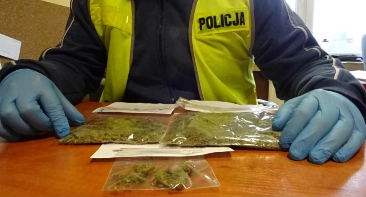 Marihuana u 20-latka z Łazów i 43-latka z Łukowa. Dwa policyjne zatrzymania w powiecie