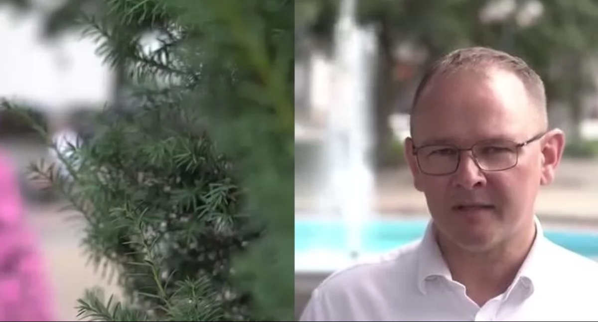 Łuków z milionami na zieloną metamorfozę! Powstaną nowe parki kieszonkowe i odnowiony skwer przy fontannie