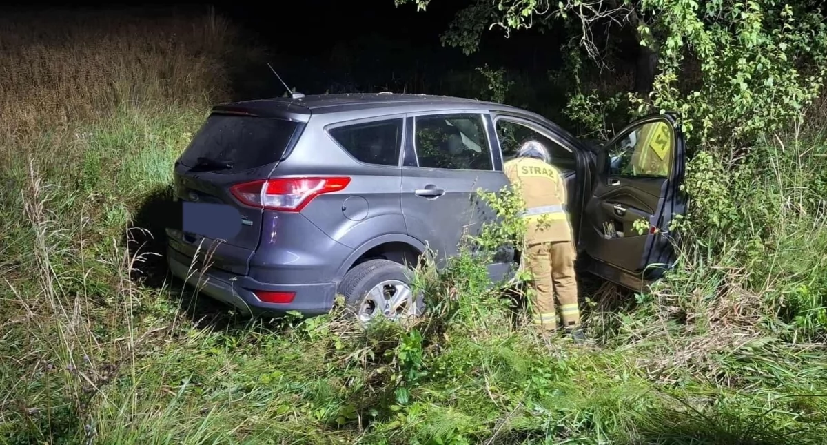 Auto wypadło z drogi pod Wiśniewem. Jedna osoba poszkodowana