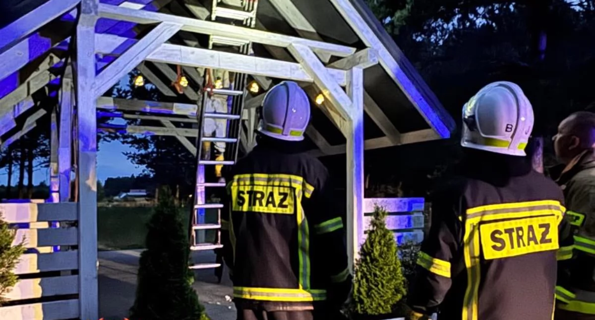 Pracowity dzień strażaków z OSP Gręzówka: usunięte drzewo i zlikwidowane gniazdo owadów