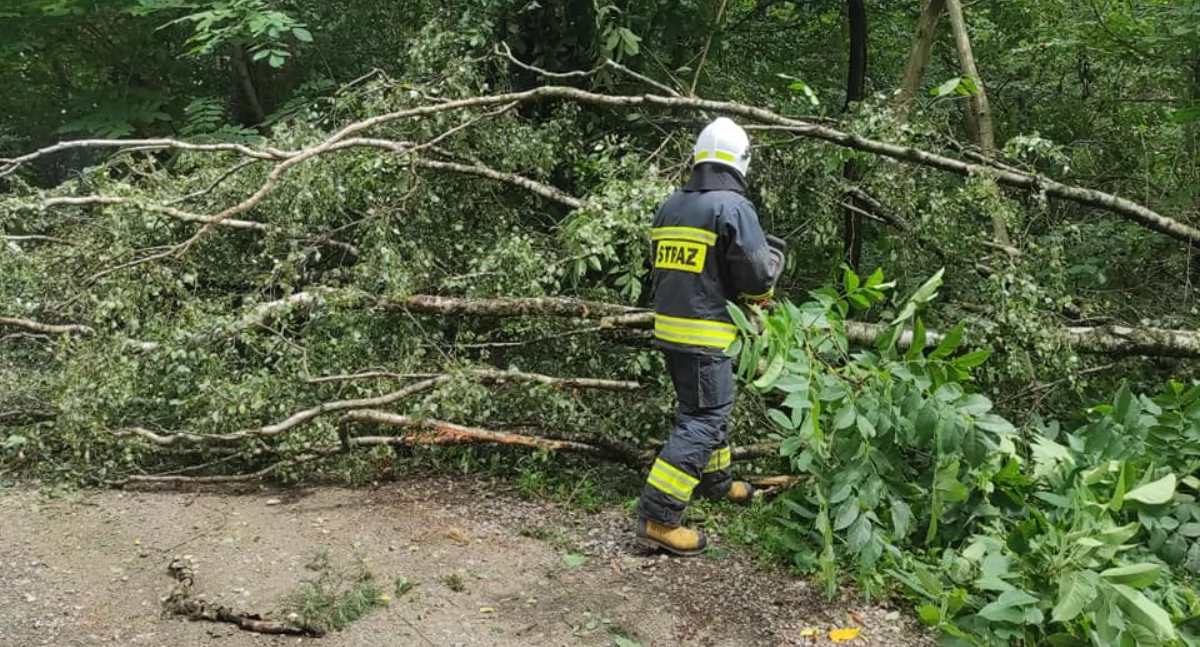 Strażacy z Woli Gułowskiej uprzątnęli drogę we Władysławowie