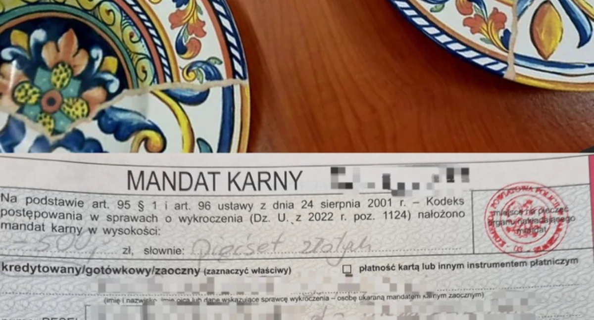 Zjadł obiad i ukradł talerze. 45-latek z Siedlec „zakochał się” w porcelanie z Parczewa