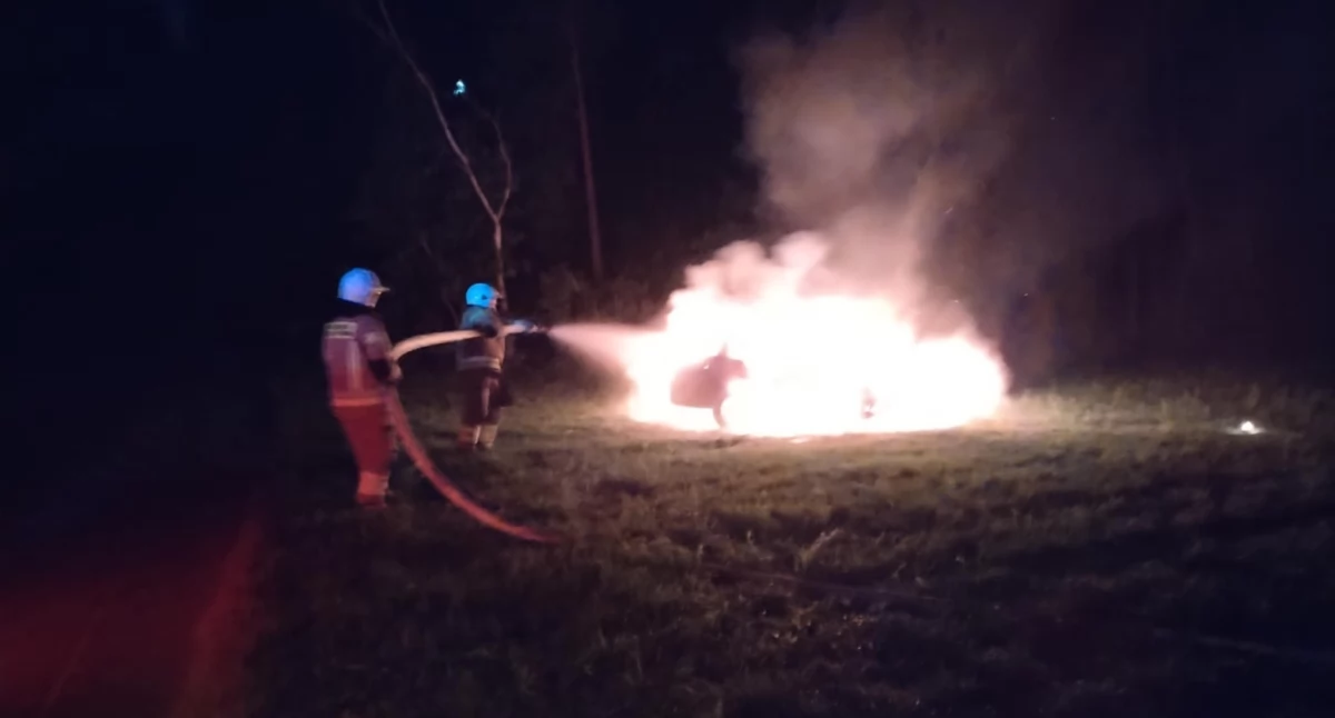 Płomienie rozświetliły noc w Borowinie. Auto doszczętnie spłonęło [ZDJĘCIA]